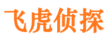 元江市私家侦探